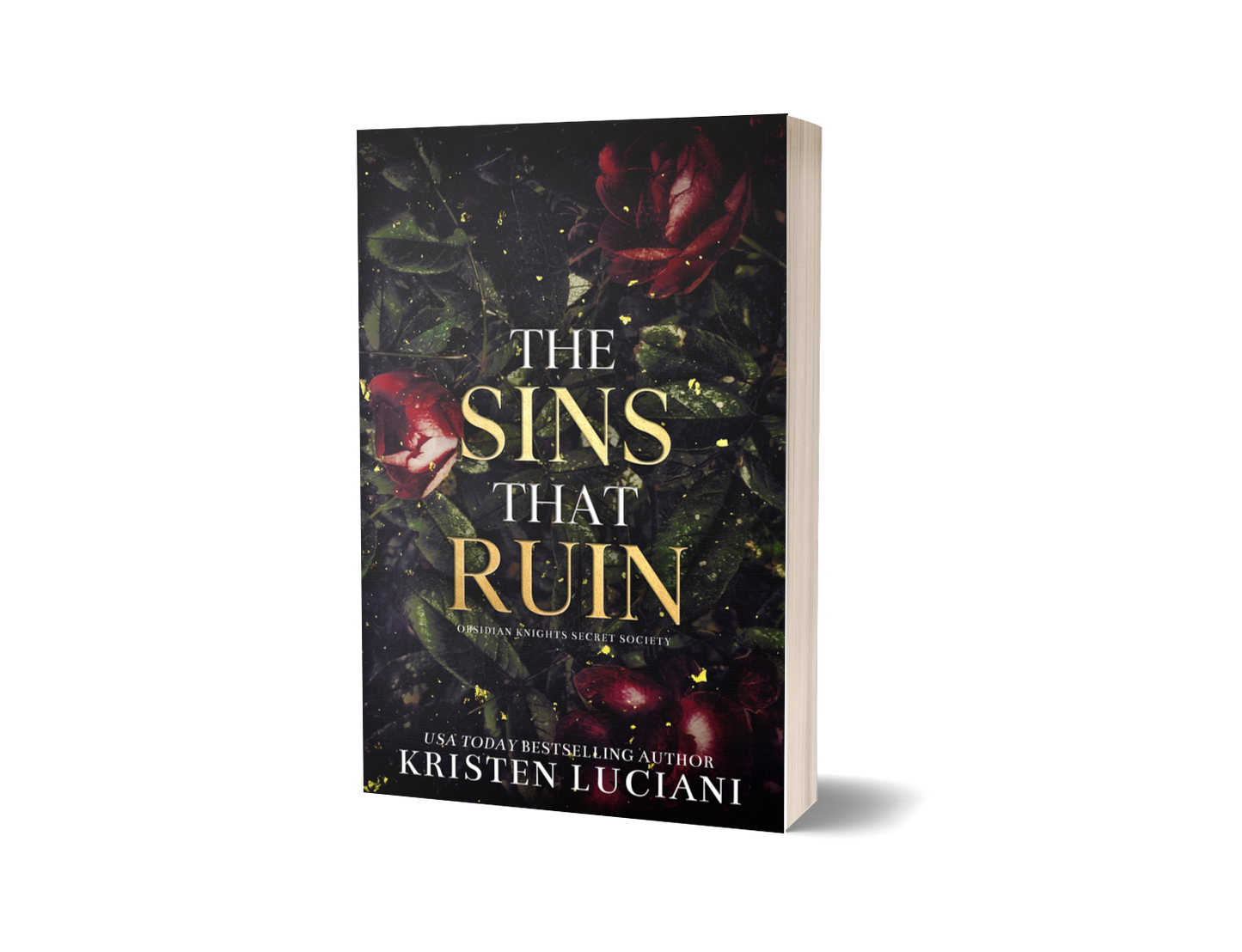 The Sins That Ruin Special Edition - Paperback