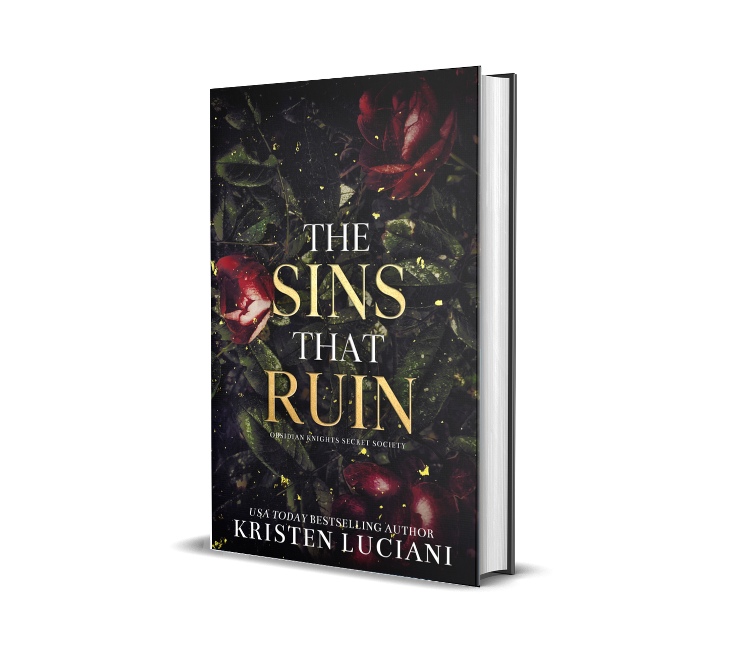 The Sins That Ruin Special Edition - Hardback